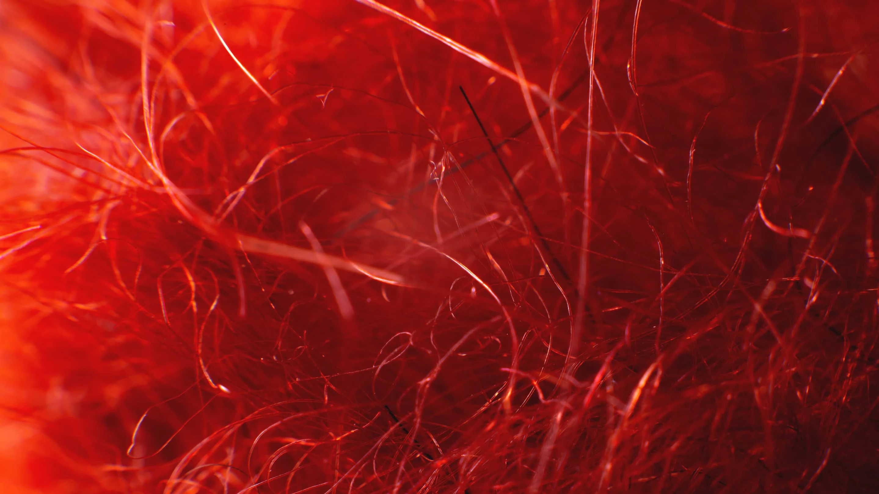 How Synthetic Biology Can Make a Materials Difference artwork